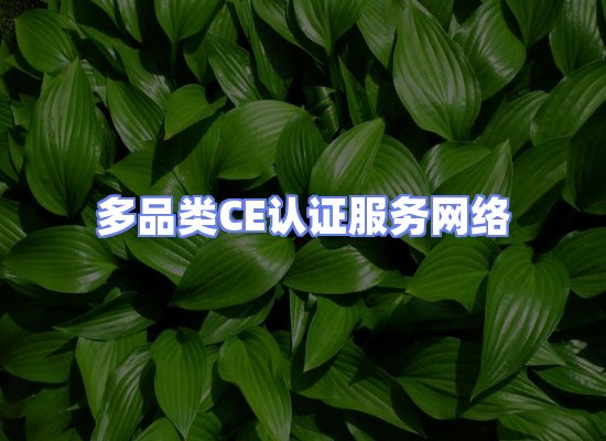 CE认证项目服务